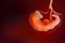 Fetus & Baby in mother `s womb Fetus &As illustrated with red tones