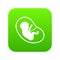 Fetus icon digital green