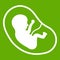 Fetus icon green
