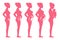 Fetus pregnancy stages. Female pregnant staging and childbirth vector illustration