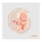 Fetus Stage Illustration. Fetal icon. Seven week embryo. Pregna