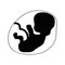 Fetus vector icon human child with placenta