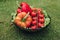 Few of fresh appetizing vegetable in plate on green grass at sunny summer day full shot