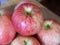A few gala apples, a close-up shot. Ripe apples. Gala is a clonally propagated apple cultivar with a mild and sweet flavour