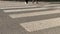 Few pedestrians cross small road by zebra crossing