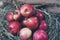 Few red fresh ripe apples on a background of green dry grass, fruit on rustic grass, useful natural food on wood planks, diet brea