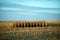 Few remaining rows of uncut maize in a field