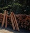 A FEW WOODEN LOGS LEANING AGAINST A PILE OF CUT WOODEN LOGS