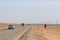 Feynan, Jordan - March 26,2015: Car driving in the desert of Jordan