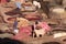 Fez, Morocco - January 01, 2010: Workers are dyeing and tanning leather at the tannery in Fez using the traditional