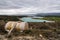 Fiberglass water tank and reservoir with turquoise waters in spring on background