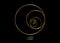Fibonacci Sequence Circle. Golden ratio. Geometric shapes spiral. Circles in golden proportion. Futuristic minimalist design