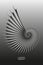 Fibonacci Sequence Golden ratio. Geometric shapes spiral. 3D Snail spiral. Sea shell of white circles. Sacred geometry logo