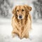 Fictional golden retriever dog representations, photography style, generative AI