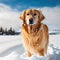 Fictional golden retriever dog representations, photography style, generative AI