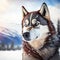 Fictional representations of Siberian husky in high quality, photo style, generative AI