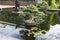 The Ficus bonsai in a tub in the middle of the pond as a decoration of park