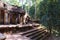 Ficus grows on the stairs of an ancient dilapidated temple. Ancient ruins in the rainforest. Stone steps of medieval construction