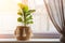 Ficus lyrata on a windowsill close-up. Detail of scandinavian interior and copy space. A flower pot in a wicker basket with fringe