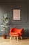 Ficus next to orange armchair against grey wall with poster in m