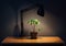 Ficus plant in a pot is on the table under the light of lamp in the dark, the leaves fall