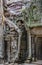 Ficus Strangulosa Banyan tree growing over a doorway in the ancient ruins of Ta Prohm at the Angkor Wat Cambodia