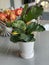 Fiddle-leaf Fig Ficus Lyrata Potted House Plant