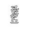 Fiddle leaf fig icon. Simple line, outline vector elements of house plant for ui and ux, website or mobile application