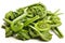 Fiddleheads