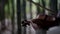 fiddler is playing music in forest, closeup of hands with violin, romantic shot