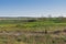 Field of African agriculture. With farmers. Angola.