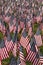 Field of American Flags - vertical