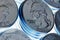 Field of American US coins in 25 cents quarters close-up. A dark illustration about the dollar, the Fed, the refinancing rate and