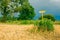 Field Arrow Sign Cloudy Day