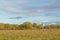 Field with autumn trees and shrubs and reed in the marsh under a blue sky with soft clouds