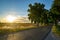 Field and avenue with trees - backlight during sunset