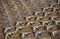 A Field of B-52 Aircraft, Davis Montham Air Force Base, Tucson, Arizona