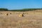 Field with bales of wheat drying in the sun in the mountains