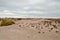 Field of balls nature reserve Ischigualasto