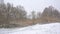 Field with bare trees covered in snow n the  winter marsh in the Flemish countryside