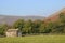 Field barn or cowhouse, meadow, sheep, Swaledale