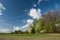 Field and blooming forest, white clouds on blue sky