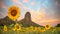 Field of blooming sunflowers on a background the mountain