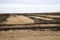 Field of burnt stubble Western Cape S Africa