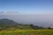 Field cabbage in mountain