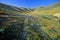 Field of California poppies in bloom with wildflowers, Lancaster, Antelope Valley, CA