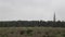 Field Cannock chase forest,  UK