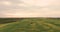 Field With a Canola. Agriculture Tractor Spraying Summer Crop Canola Field