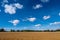 Field of cereals under a beautiful summer sky.