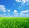 Field and cloudscape